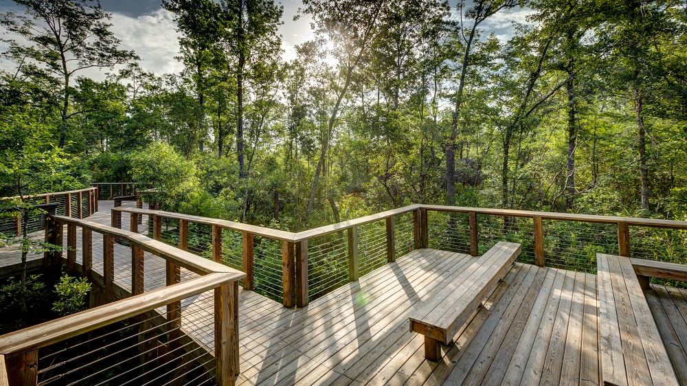 Wooden walkway in park